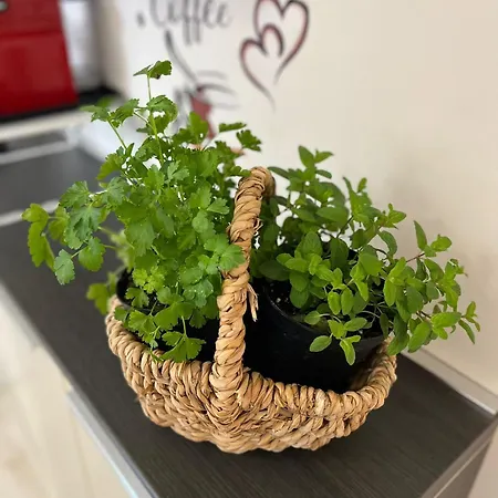 L'alba Sullo Jonio 4* Tarento