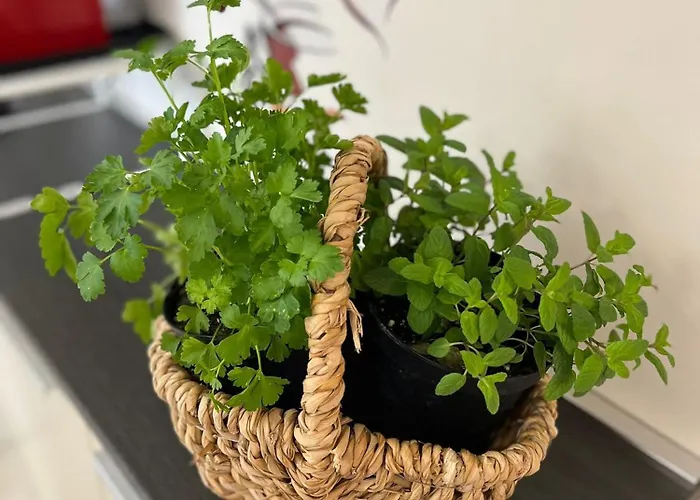 L'alba Sullo Jonio 4* Taranto